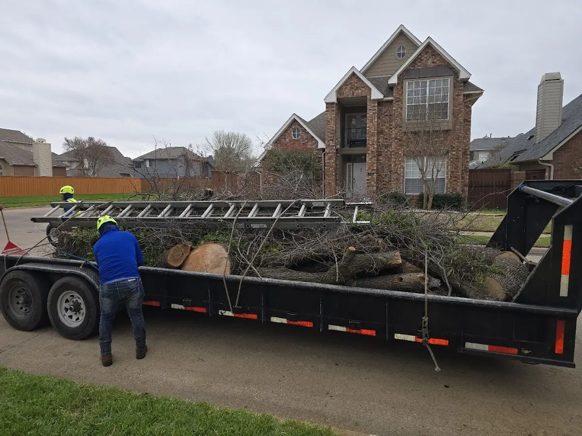 Expert Lot Clearing with proper safety equipment in Stella